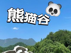 -熊猫谷