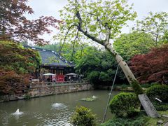 -岳王庙