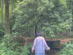 -永康小长城