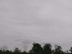 -白鹭湾湿地公园