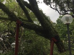 -香港大学