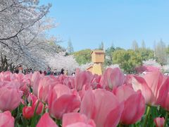 -苏州上方山国家森林公园