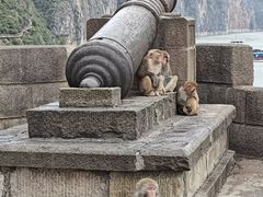 -白帝城·瞿塘峡景区