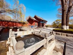 -百脉泉景区