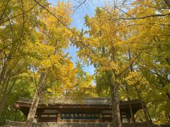-大慈恩寺(大雁塔)