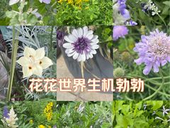 -比斯特上海购物村精品奥特莱斯