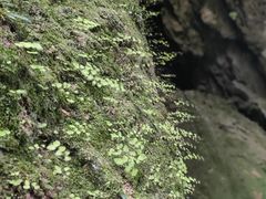 -大七孔景区-天生桥