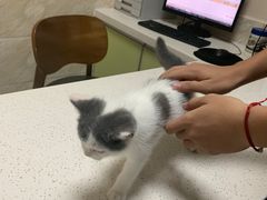-阿荣24H宠物医院·综合型转诊中心·CT·核磁影像中心