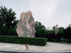 -绿堤公园