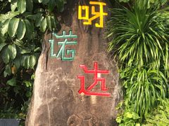 -呀诺达热带雨林