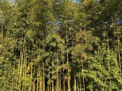 -苏州河梦清园环保主题公园