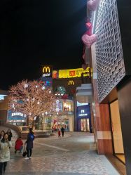 -Early Rider 儿童自行车(蓝色港湾店)