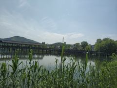 -石塘人家
