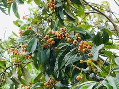 -成都中医药大学(温江校区)