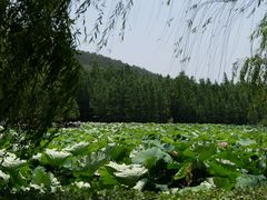-云龙湖旅游景区