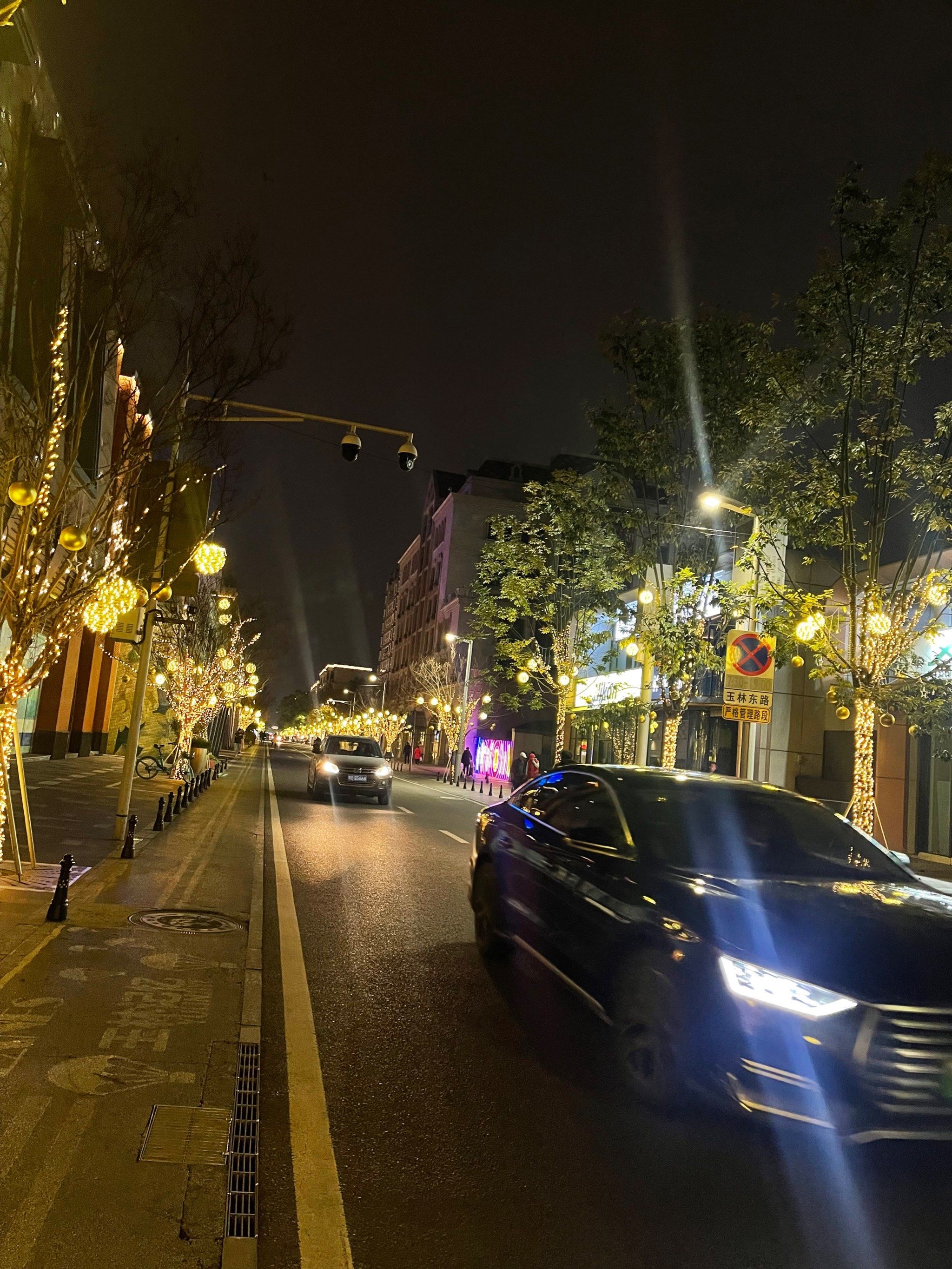 城影下的夜行车