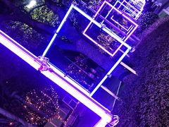 -锦江乐园舞狸花花游园会(夜场专享)