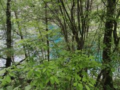 -叠溪松坪沟景区