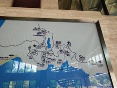 -广东惠东海龟国家级自然保护区