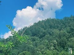 -牛背梁国家森林公园