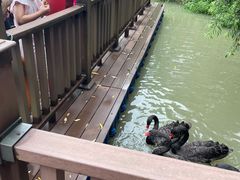 -长兴太湖图影湿地文化园