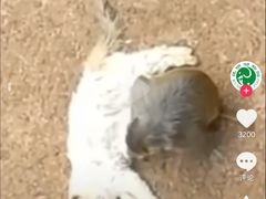 -昆明动物园