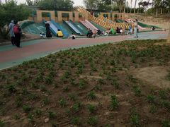 -大兴滨河森林公园