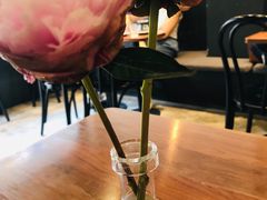 -black rainbow coffee