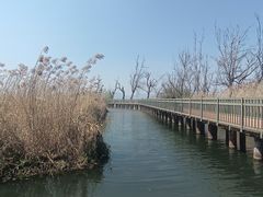 -捞渔河湿地公园