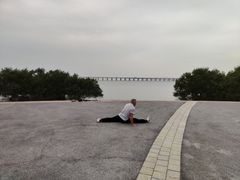 -宝安西湾红树林湿地公园