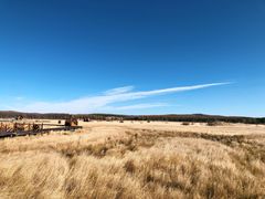 -塞罕坝国家级自然保护区