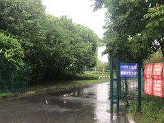 -九里河湿地公园
