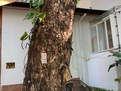 -Cheevit Cheeva(Sirimangkalajarn)