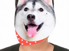 -青春加萌照相馆