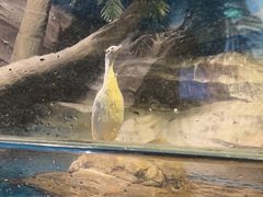 -梦幻海洋王国(吾悦广场张家港店)