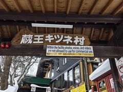 -宫城藏王狐狸村