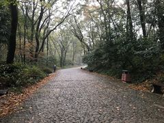 -灵谷景区