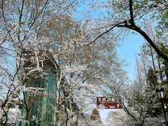 -鸡鸣寺