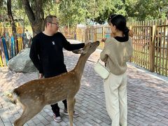 -水上乐园·欢乐世界