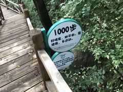 -大岭沟猕猴桃谷风景区