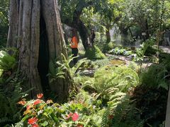 -Chom Cafe and Restaurant