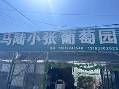 -马陆小张葡萄园农家乐