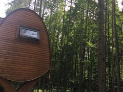 -黄海国家森林公园