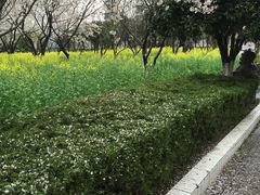 -西北湖绿化广场