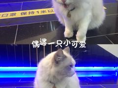 -冯校长老火锅(深圳总店)