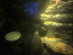 -欢乐海岸海洋奇梦馆