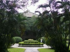 -中山大学学者灵芝(园南路店)