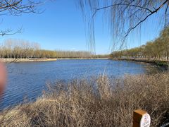 -稻香湖景欢乐岛温泉城堡