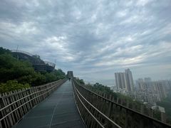 -福道