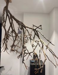 -吾之瑜生瑜伽普拉提学院